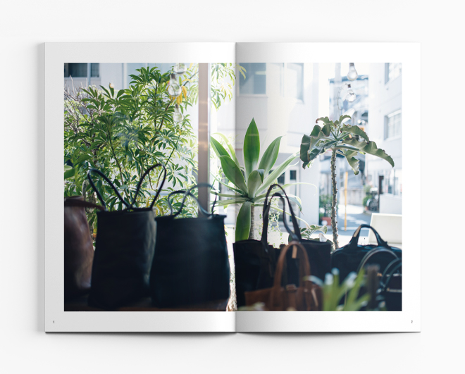 Organ_productbook_04